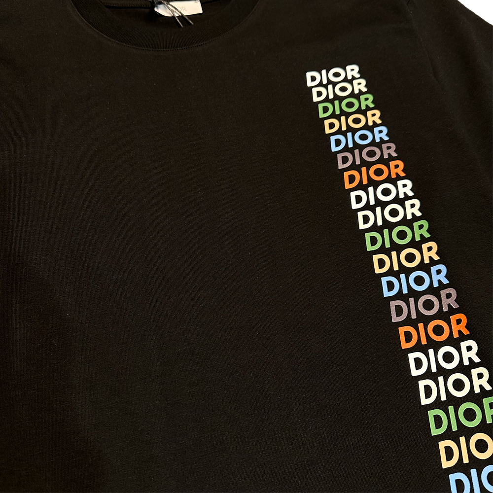 DIOR Logo Print T-Shirt